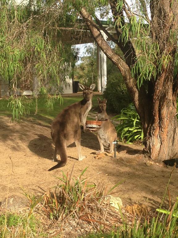 Llewellin'S Guest House Margaret River Ngoại thất bức ảnh