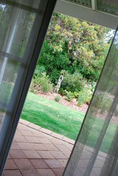 Llewellin'S Guest House Margaret River Ngoại thất bức ảnh